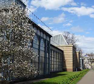 Wilhelma Stuttgart