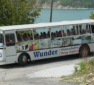 Der Bus am Green Lake auf dem Weg zum Mittagessen