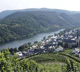 Mosel oberhalb Kröv