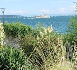 Vista del lago