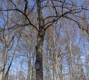 Geologischer Lehrpfad Kirnbachtal