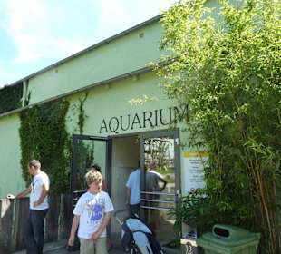 Aquarium