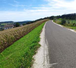 Auf dem Weg nach Edelsbach hinunter