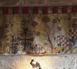 Burg Wäscherschloss