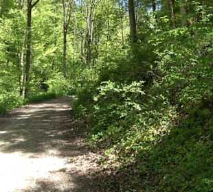 Magolsheimer Buchtalweg