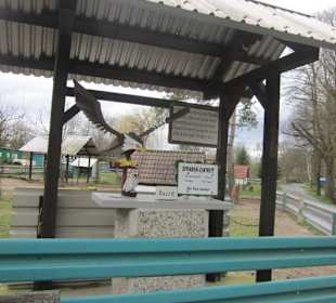 Tierpark Bad Schönborn