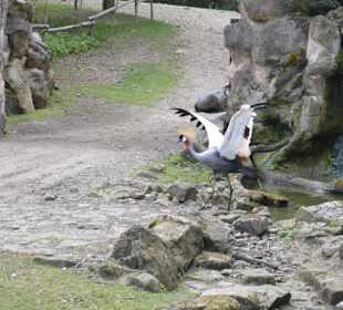 Allwetterzoo Münster