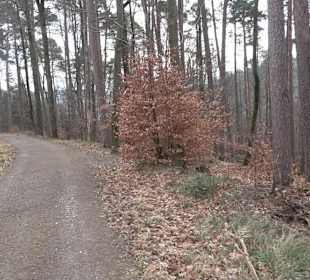 Unterjesinger Wengertwegle