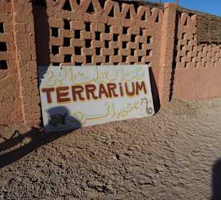 Schlangen und Echsen, Haltung nicht ok