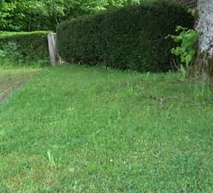 Johanneskirche Grüntal