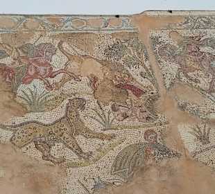 Ausgrabungen Karthago