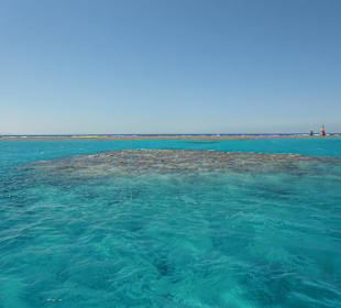 Tolles Riff beim zweiten Ausflug