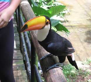 Exotische Fauna und Flora zum anfassen