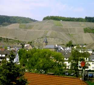 Dernauer Weinberge