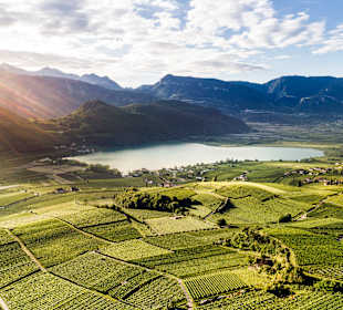 Wandern Appiano sulla Strada del Vino / Eppan an der Weinstr