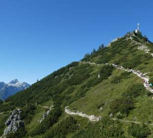 Blick zum Jennergipfel