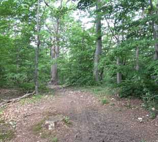 Premiumwanderweg "hochgelegen"