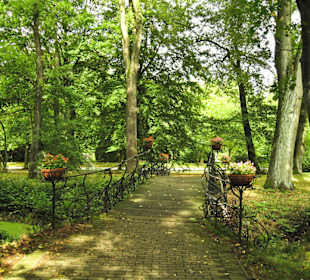 Кладбище Ольсдорф, Гамбург, 16 сентября 2013 года