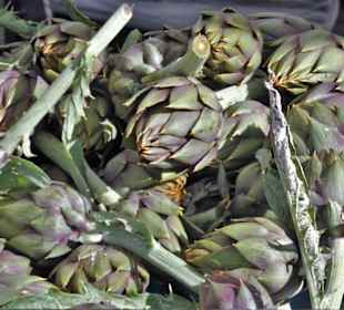 Rundgang über den Wochenmarkt Nuoro