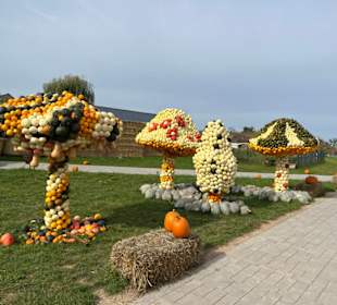 Krewelshof  Kürbisschau 2022 (Wundersame Waldwesen