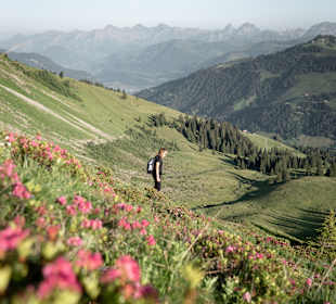Wandern Gstaad