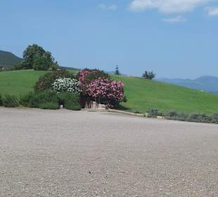 Kopiec Grave Vergina