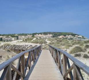 Holzstege durch die Dünen