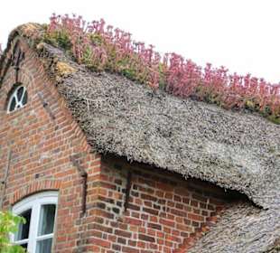 Hallo - Sie haben da was...