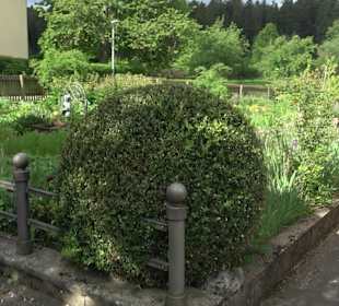 Kräutergarten Heiligenbronn