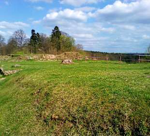 Burgruine Hohenburg in Homburg
