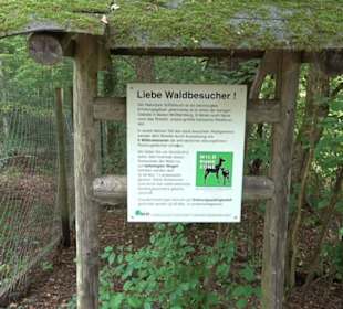 Altwege Rundwanderung Bebenhausen