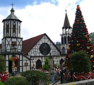 Weihnachtsbaum in der Colonia Tovar