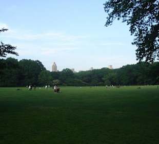 Central Park 