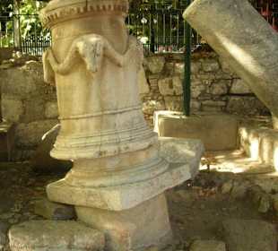 Bei der Platane des Hippokrates