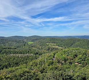 Die hatten den Überblick