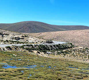 Pampa Cañahuas