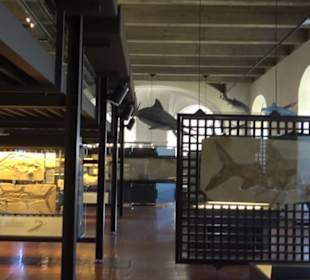 Jura-Museum