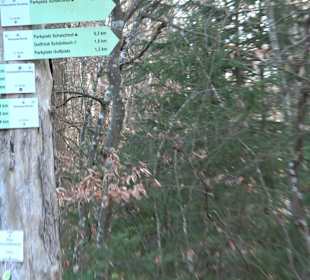 Ochsenweiher Rundweg