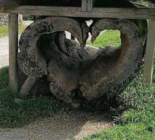 Markus Wasmeier Bauernhof und Wintersportmuseum Schliersee