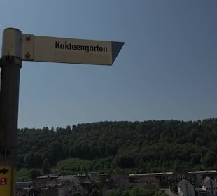Kakteengarten