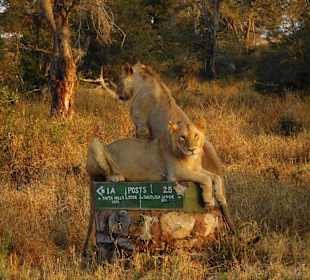 Die letzten Sonnenstrahlen geniessen