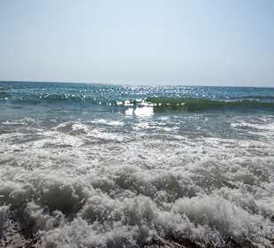 Praia de Nossa Senhora da Rocha