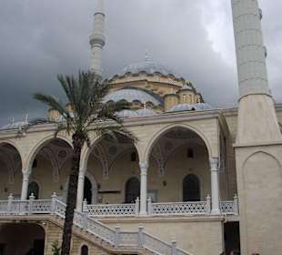 Die Moschee