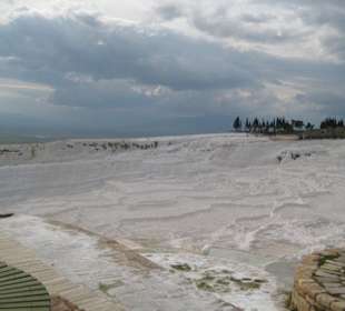 So sehen sie heute aus