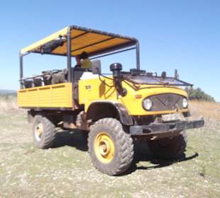 Unimog Safari 