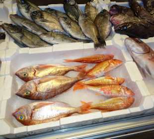 Rundgang zwischen den Auslagen des Mercato Civico