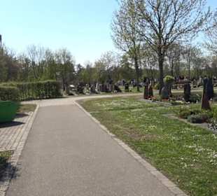 Neuer Friedhof