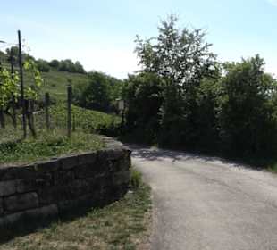 Früchtetrauf - Wurmlinger Kapellenwegle