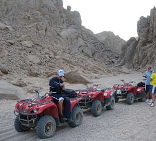 Quad-Tour