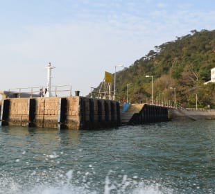 Fischerdorf Tai O Schnellboot-Tour